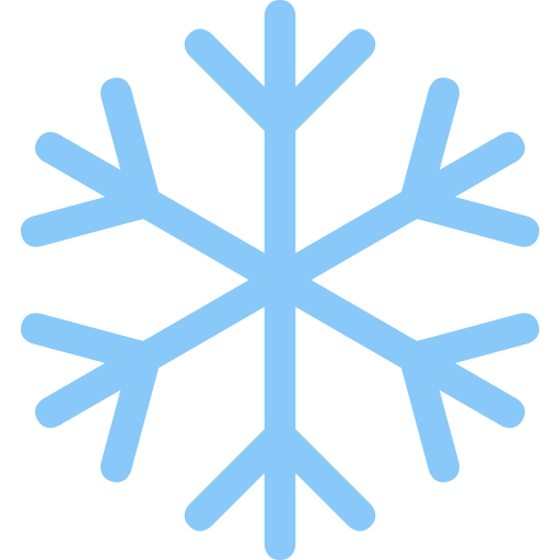 File:Special Snowflake.png