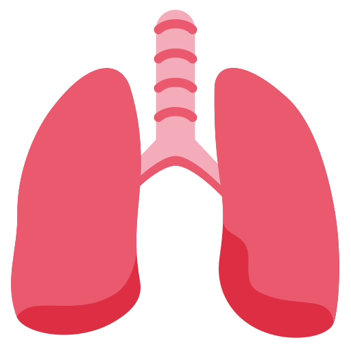 File:Lungs.png