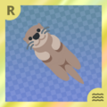 Otter