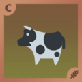 Cow