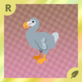 Dodo