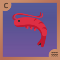 Shrimp