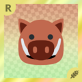 Boar