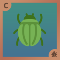 Beetle