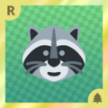 Raccoon