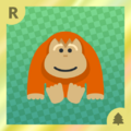 Orangutan