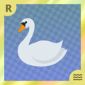 Swan