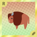 Bison
