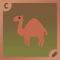 Camel