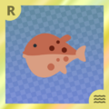 Pufferfish