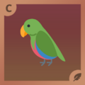 Parrot