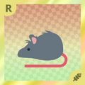 Rat