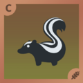Skunk