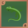 Lizard