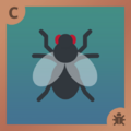 Fly