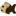 Le Fishe au Chocolat