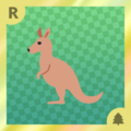 Kangaroo