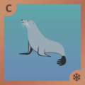 Seal